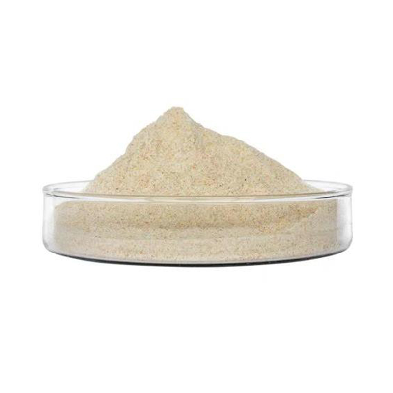 Lactase (β-galactosidase)