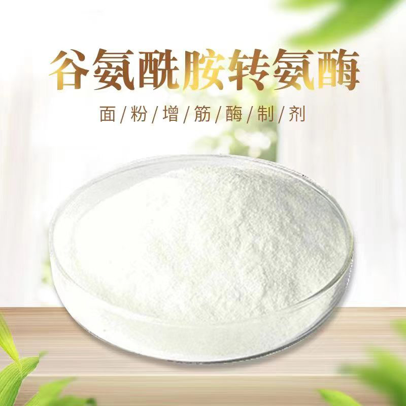 Transglutaminase-TG Enzyme