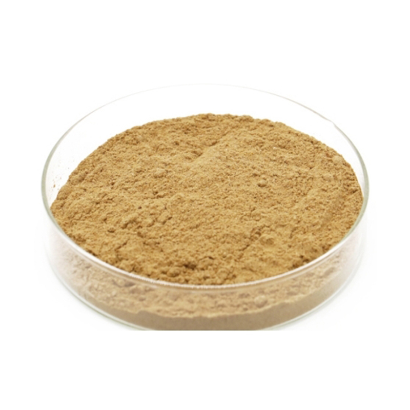 Bacillus Licheniformis