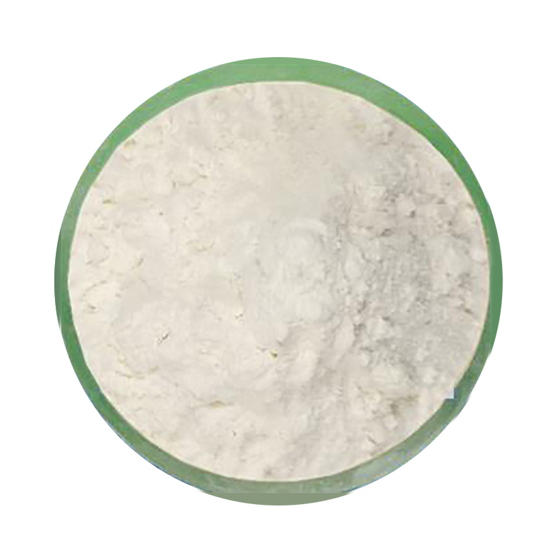 Enterococcus Faecalis