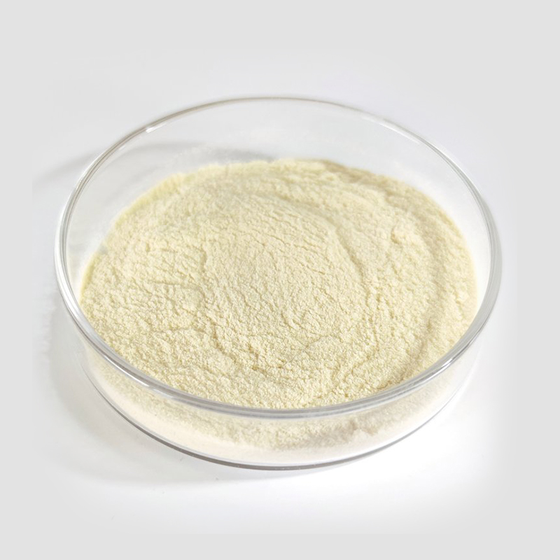 Lactobacillus Plantarum