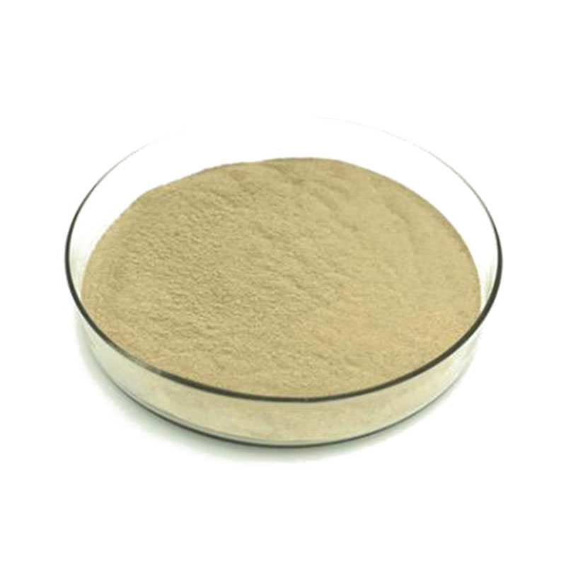 Bacillus Amyloliquefaciens