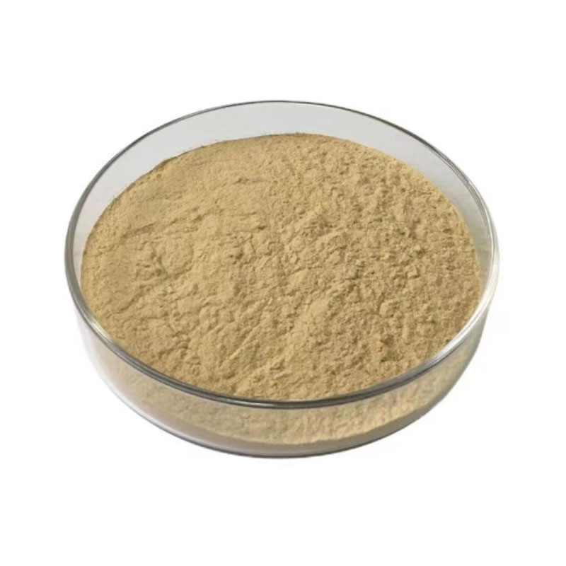 Bacillus Laterosporus