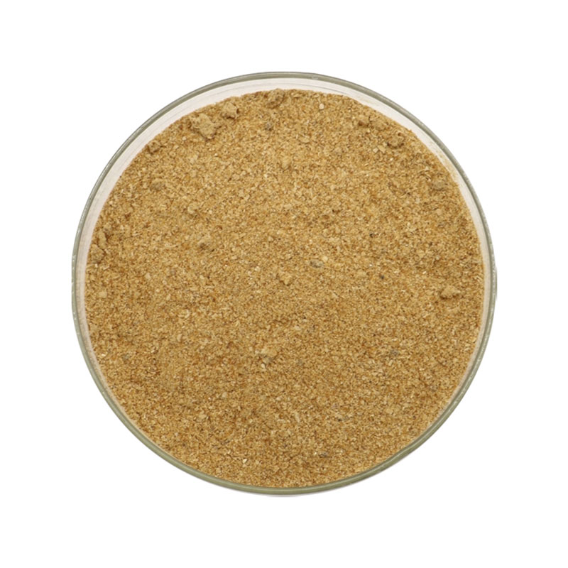 Bacillus Licheniformis