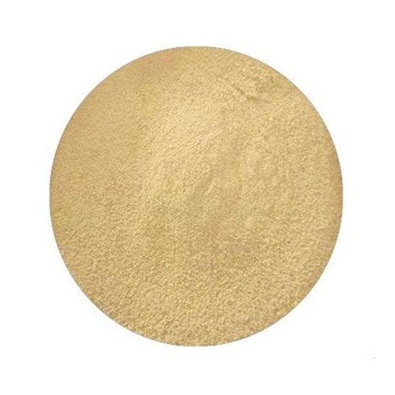 Bacillus Mucilaginosus