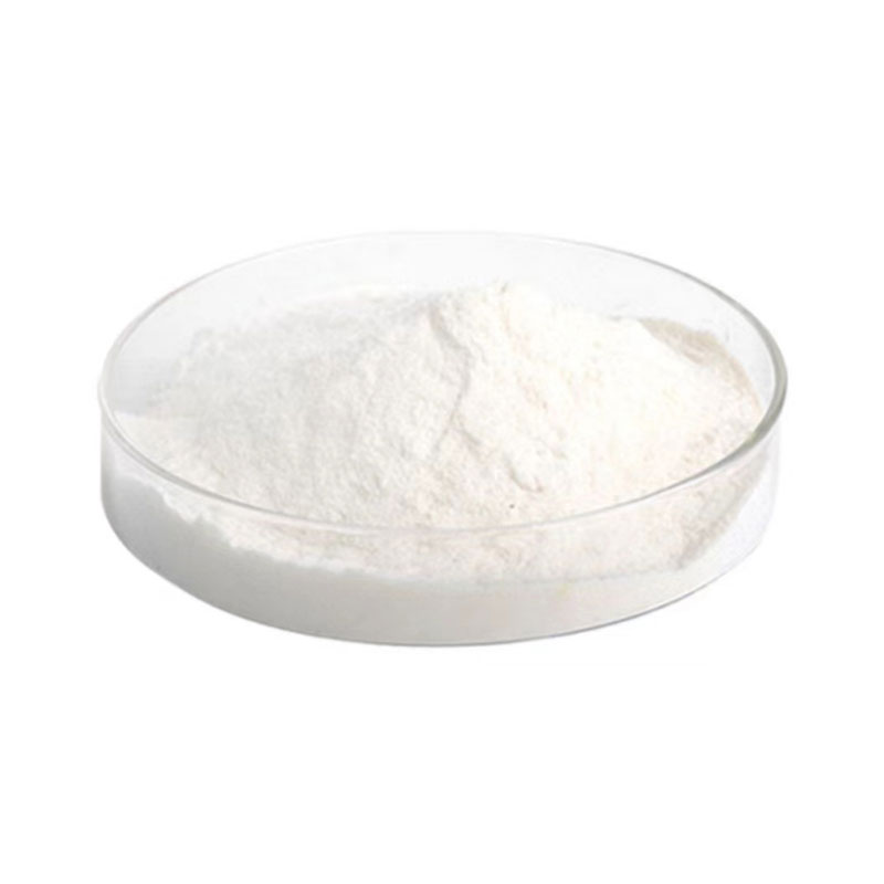 Lactobacillus Acidophilus Bacteria