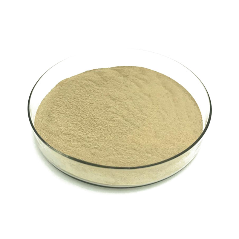 Bacillus Amyloliquefacien