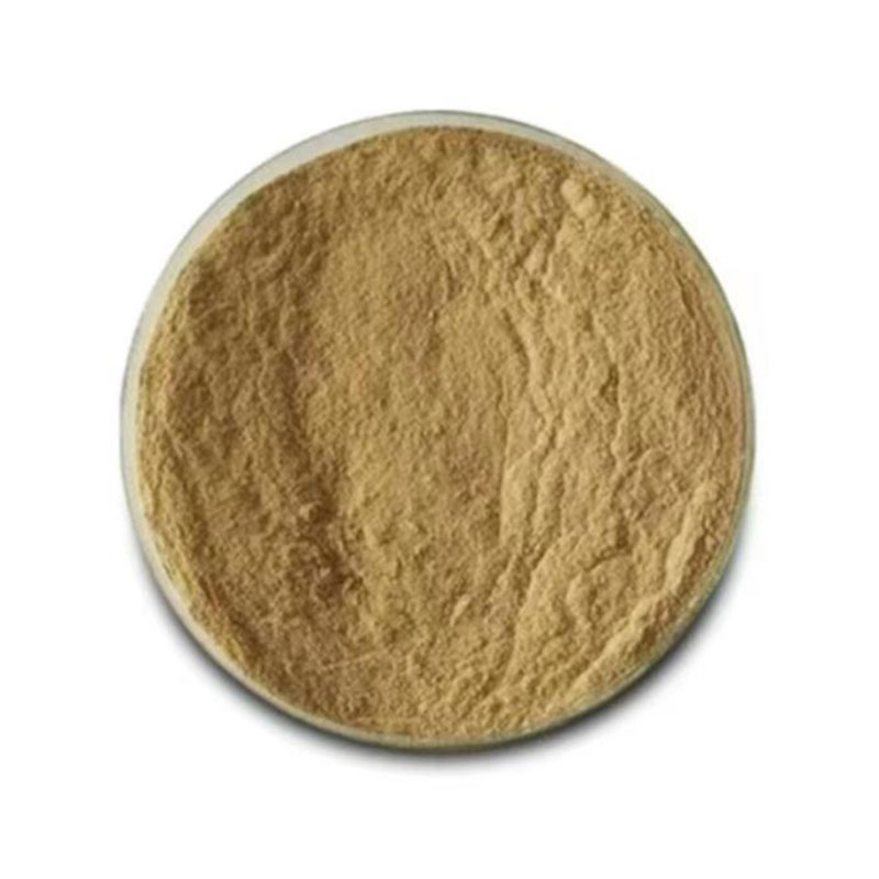 Bacillus Licheniformis