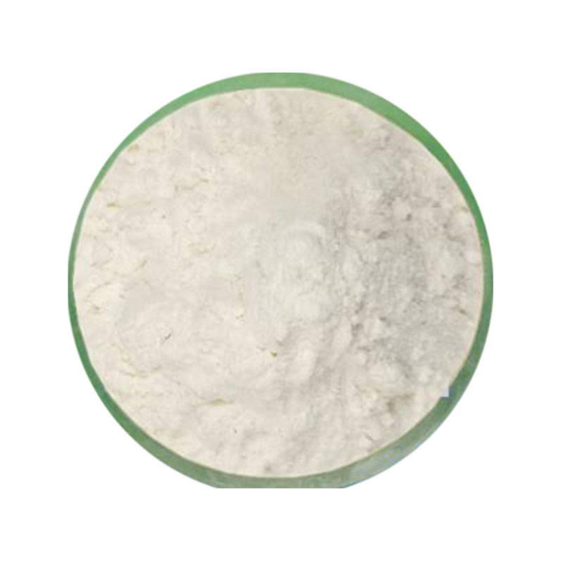 Enterococcus Faecalis