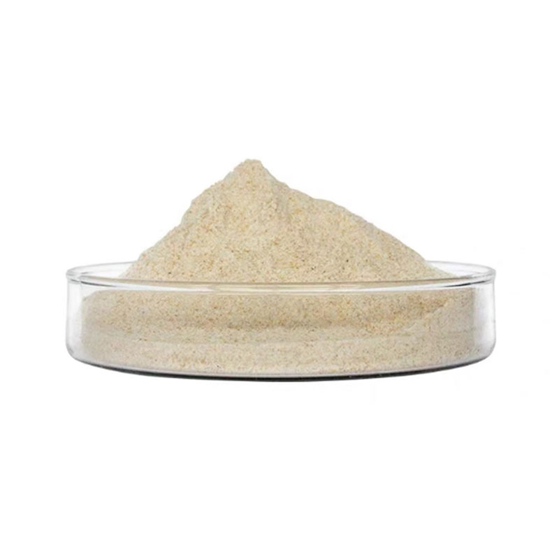 Lactic Acid Bacteria