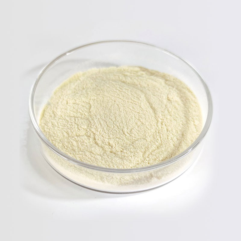 Lactobacillus Plantarum