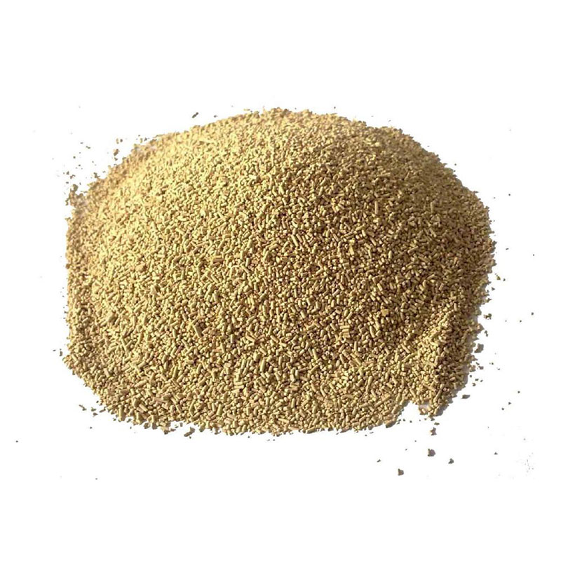 Saccharomyces Cerevisiae