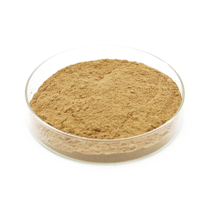 Enzymes for Textile industry