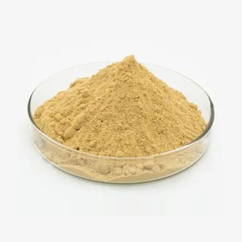 Bacillus Thuringiensis