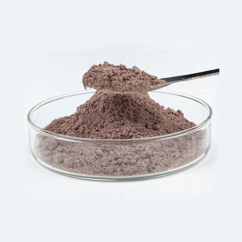 Paecilomyces lilacinus