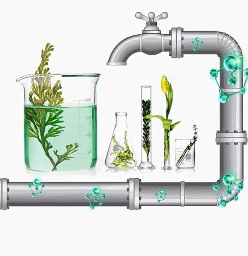 What is Enzyme YD- WGR/CP?