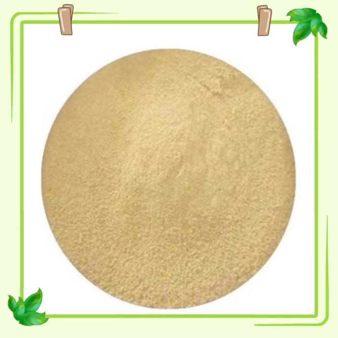 Key Features and Benefits of Enzyme YD- WGR/CP