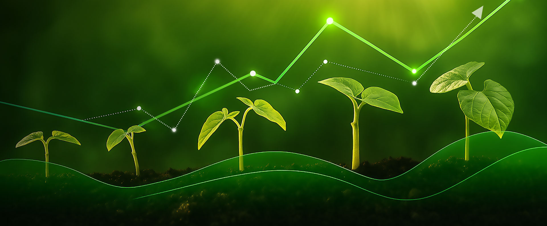 22 years manufacture and export experience