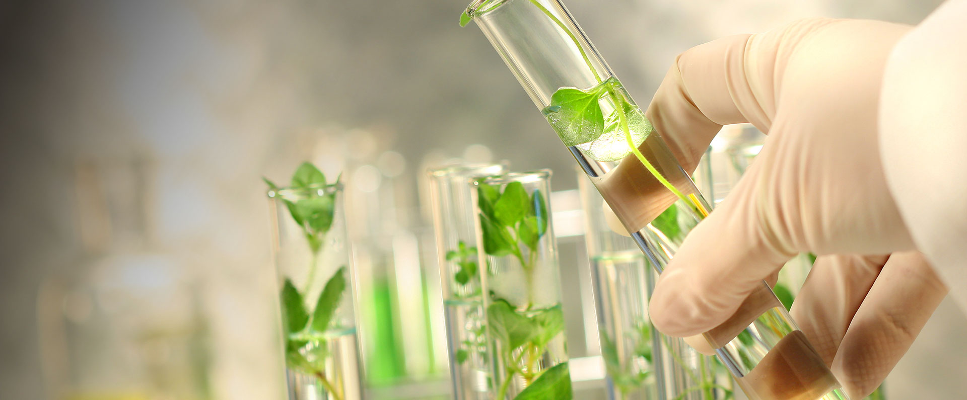 High advanced Workshop and produce factory