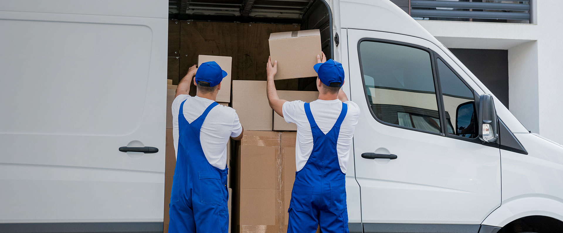 Long term cooperation Logistic companies with fast delivery